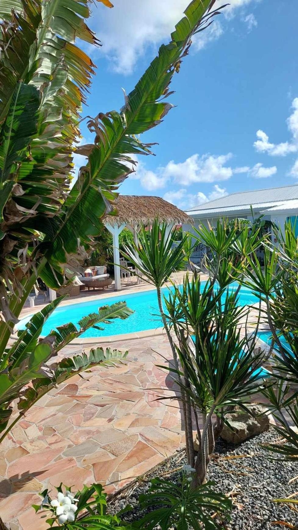 Tiko Lodge Sxm Quarter of Orleans Kültér fotó